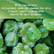 Anti Wrinkle  Moisturizing Face Mask Korean Skin Care